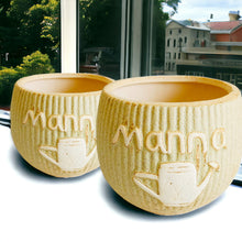 Load image into Gallery viewer, Manna Planter