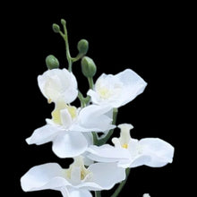 Load image into Gallery viewer, Artificial Orchid Flowers White