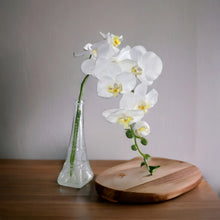 Load image into Gallery viewer, Artificial Orchid Flowers White