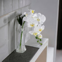 Load image into Gallery viewer, Artificial Orchid Flowers White