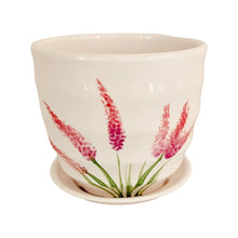 Load image into Gallery viewer, 4" Planter with Saucer - Pink