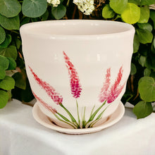 Load image into Gallery viewer, 4" Planter with Saucer - Pink