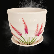 Load image into Gallery viewer, 4" Planter with Saucer - Pink