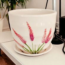 Load image into Gallery viewer, 4" Planter with Saucer - Pink