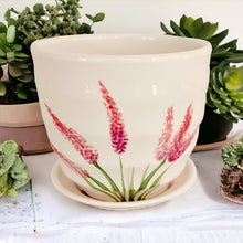 Load image into Gallery viewer, 4" Planter with Saucer - Pink