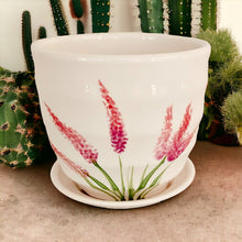 Load image into Gallery viewer, 4" Planter with Saucer - Pink