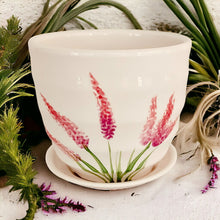 Load image into Gallery viewer, 4" Planter with Saucer - Pink