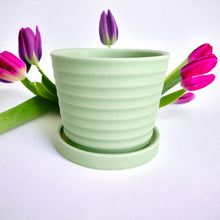 Load image into Gallery viewer, Classic Ceramic Planters - Lt Green