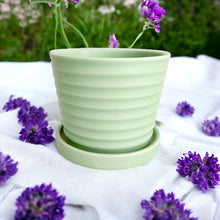 Load image into Gallery viewer, Classic Ceramic Planters - Lt Green