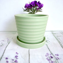 Load image into Gallery viewer, Classic Ceramic Planters - Lt Green
