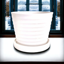 Load image into Gallery viewer, Classic Ceramic Planters - White