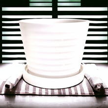 Load image into Gallery viewer, Classic Ceramic Planters - White