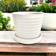 Load image into Gallery viewer, Classic Ceramic Planters - White