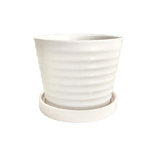 Load image into Gallery viewer, Classic Ceramic Planters - White