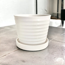 Load image into Gallery viewer, Classic Ceramic Planters - White