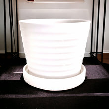 Load image into Gallery viewer, Classic Ceramic Planters - White