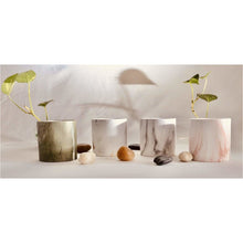 Load image into Gallery viewer, Round Ceramic Planters - 6pc Set
