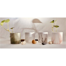 Load image into Gallery viewer, Round Ceramic Planters - 6pc Set