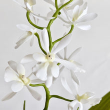 Load image into Gallery viewer, Imitation Plant