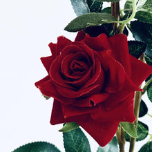 Load image into Gallery viewer, Simulation flower