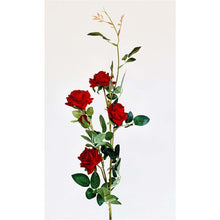 Load image into Gallery viewer, Red Rose