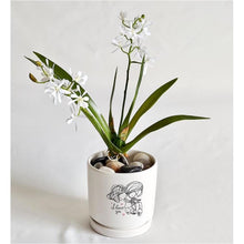 Load image into Gallery viewer, Artificial Plant