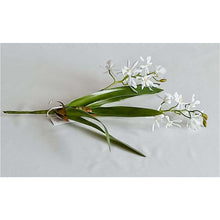 Load image into Gallery viewer, Faux Plant