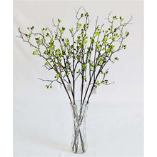 Load image into Gallery viewer, Olive Fruit