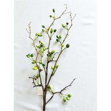 Load image into Gallery viewer, Fruit Plant