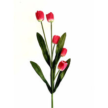 Load image into Gallery viewer, Artificial 5 Head Tulip Flowers