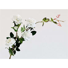Load image into Gallery viewer, White Rose
