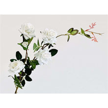 Load image into Gallery viewer, White Rose