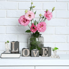 Load image into Gallery viewer, Lover planter