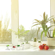 Load image into Gallery viewer, Miniature planter