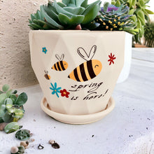 Load image into Gallery viewer, Ceramic Planter with Saucer - Spring is here
