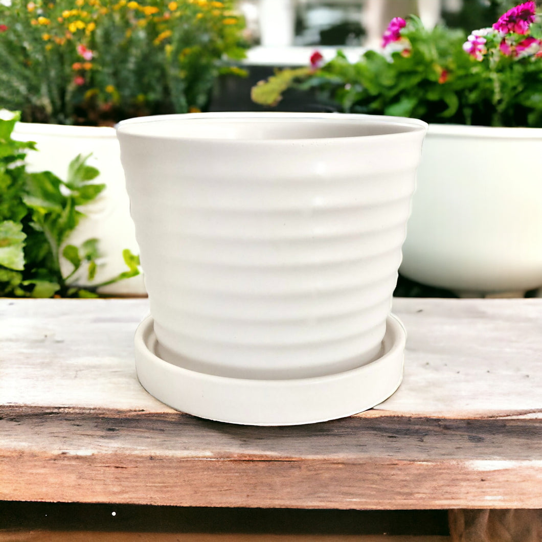 Classic Ceramic Planters - White