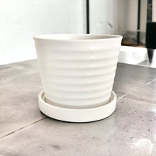 Load image into Gallery viewer, Classic Ceramic Planters - White
